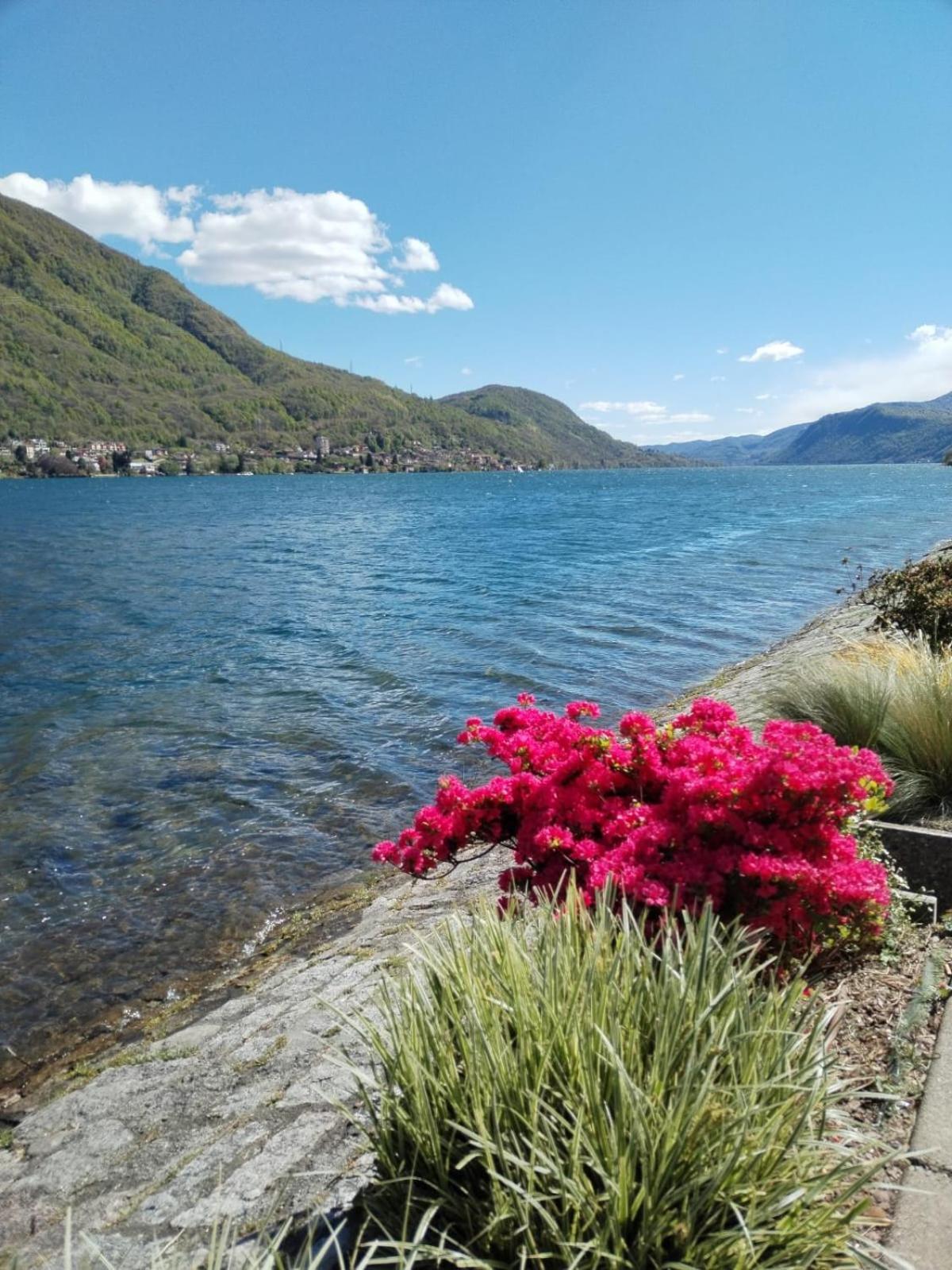 Un Balcone Sul Lago Omegna Εξωτερικό φωτογραφία