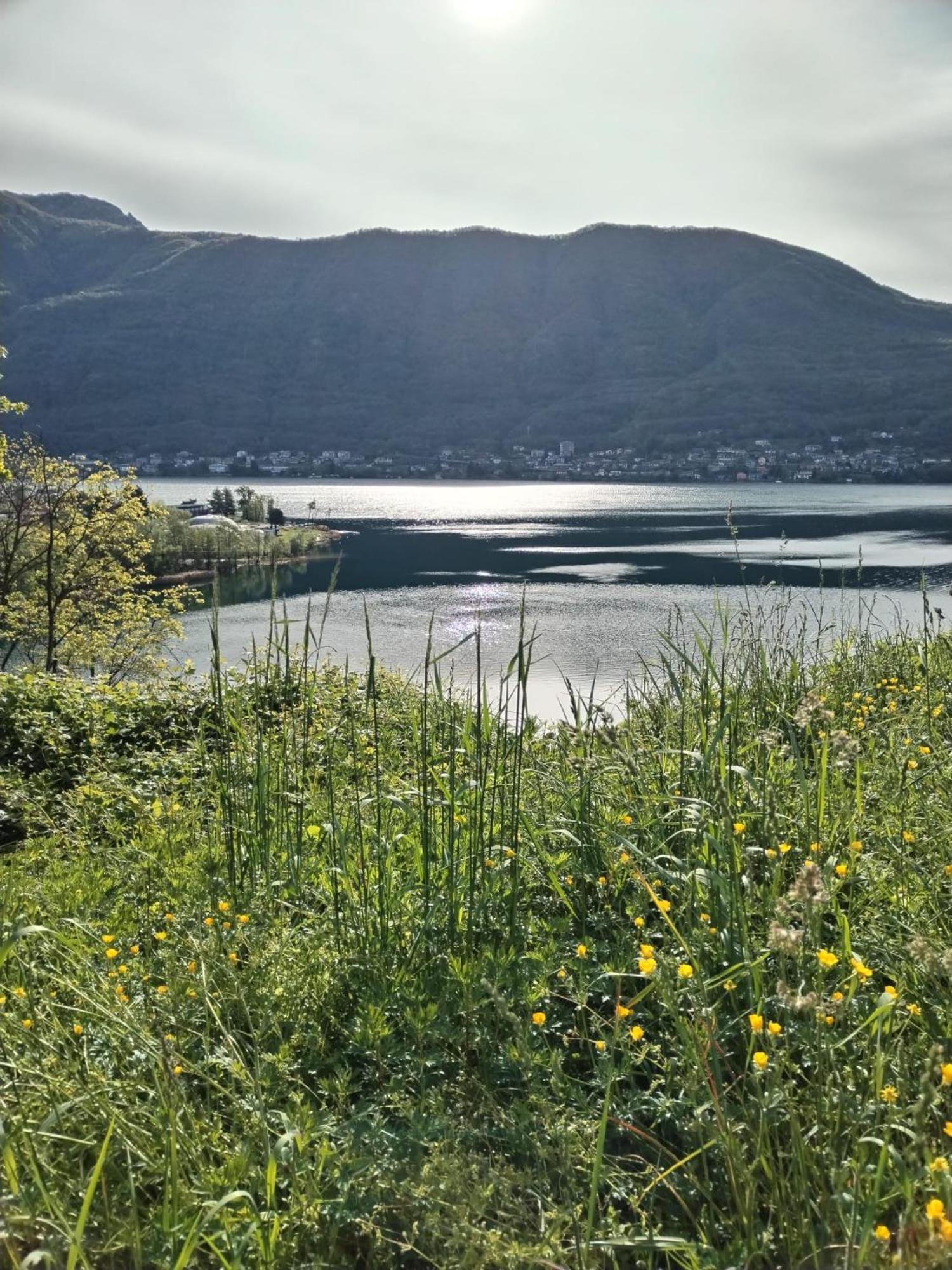 Un Balcone Sul Lago Omegna Εξωτερικό φωτογραφία