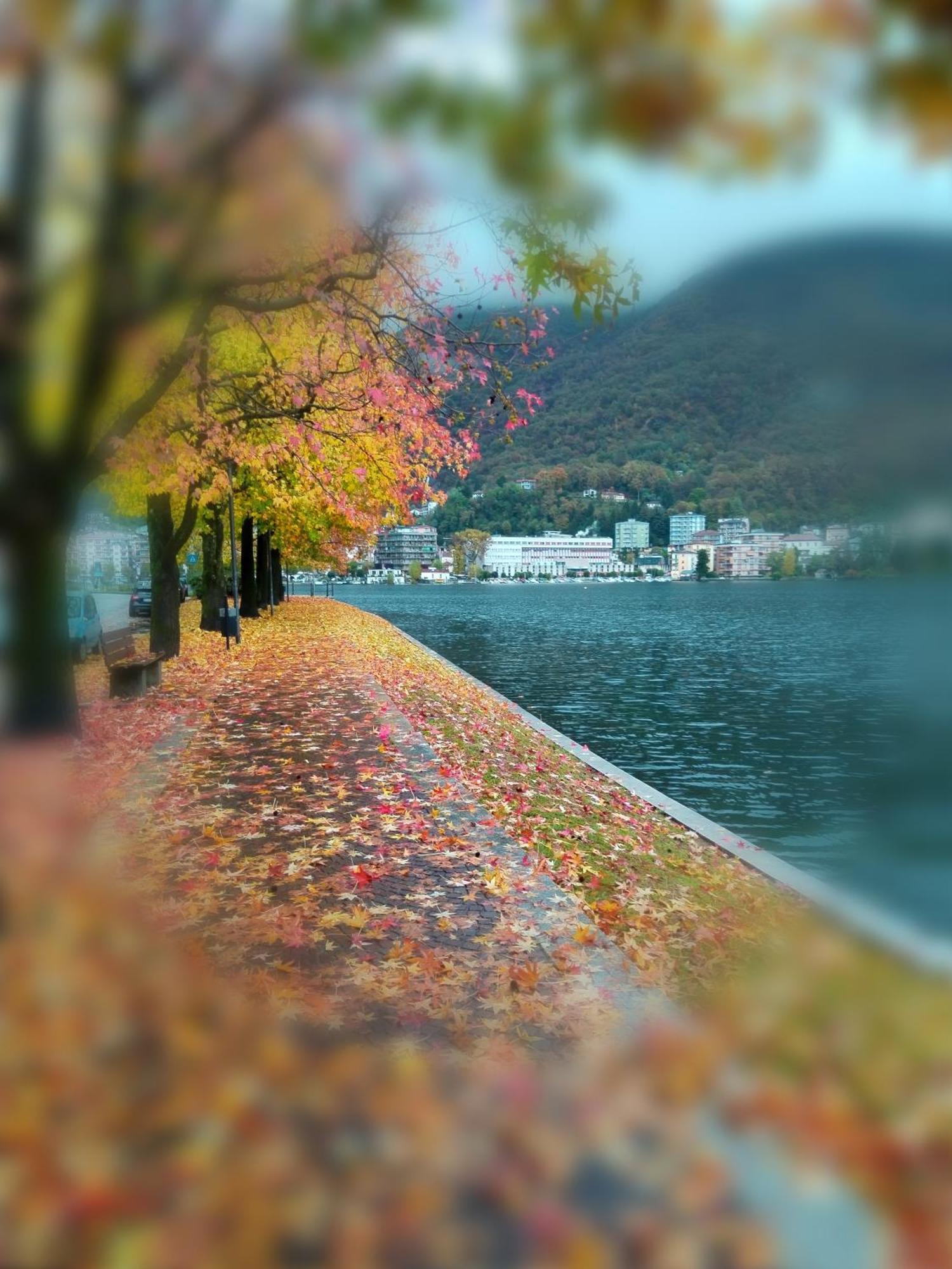 Un Balcone Sul Lago Omegna Εξωτερικό φωτογραφία