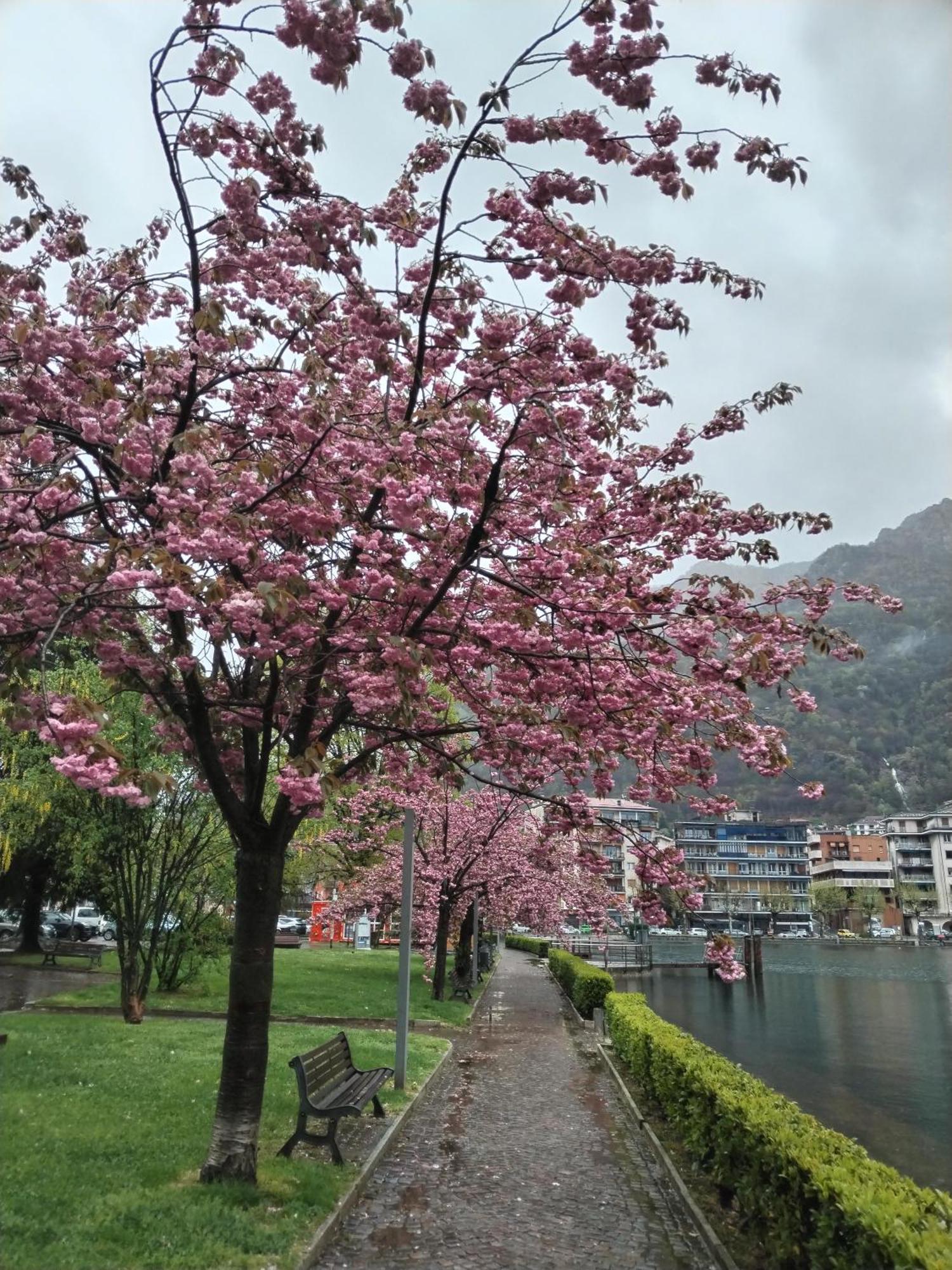 Un Balcone Sul Lago Omegna Εξωτερικό φωτογραφία
